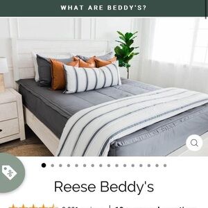 Gray Beddy